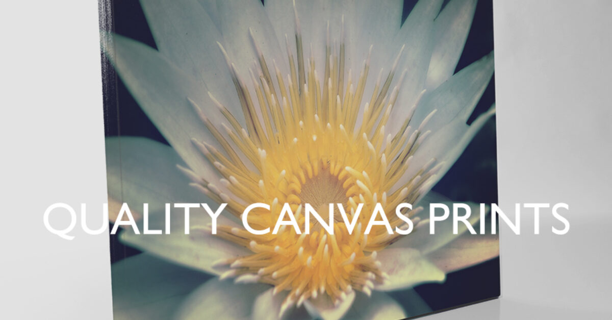 10 Signs You Are Ready to Invest in Quality Canvas Prints