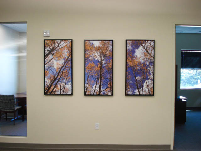 Triptych Canvas Float Frame