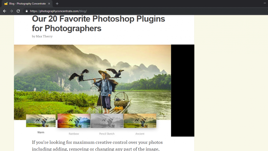 Photography Blogs 14