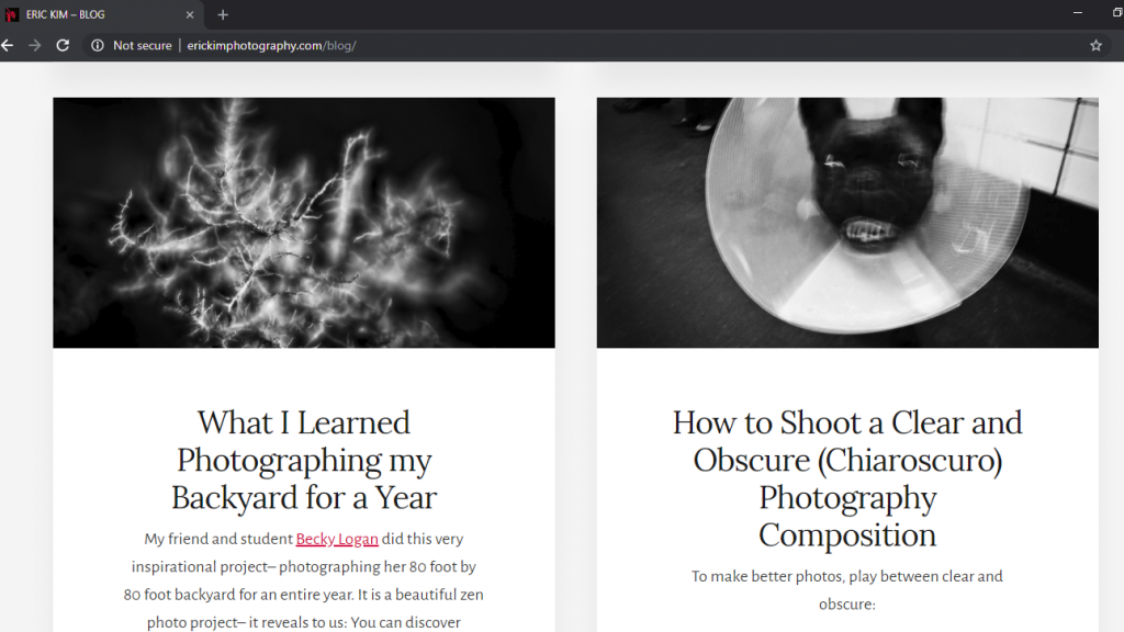 Photography Blogs 15