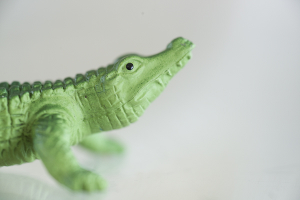 photo project, photography project, alligator still life, toy photos