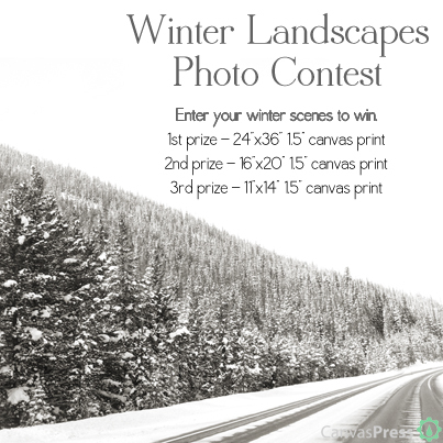 photo contest, canvas prints, photos on canvas, photo canvas, winter landscape photo contest, winter landscapes