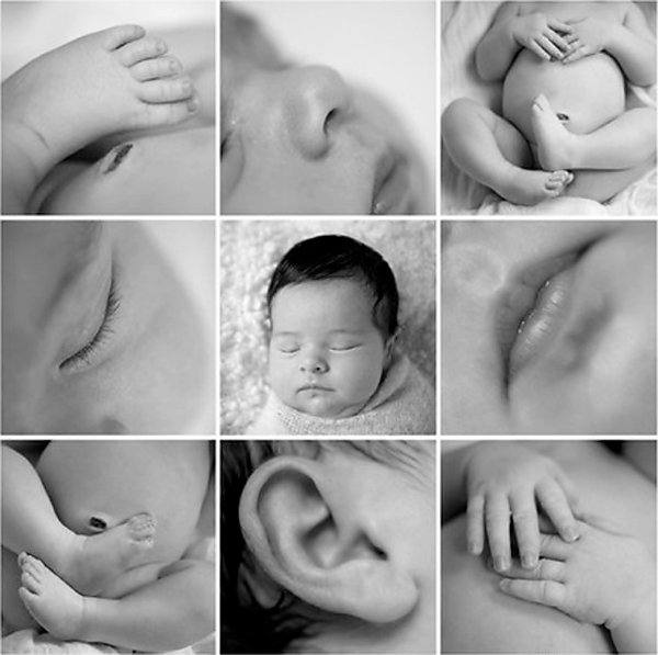 photo collage, digital photography, baby portraits, baby parts, baby photography