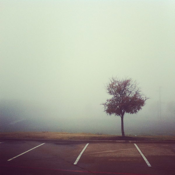 fog photography, tilt-shift, instagram photo, photo to canvas