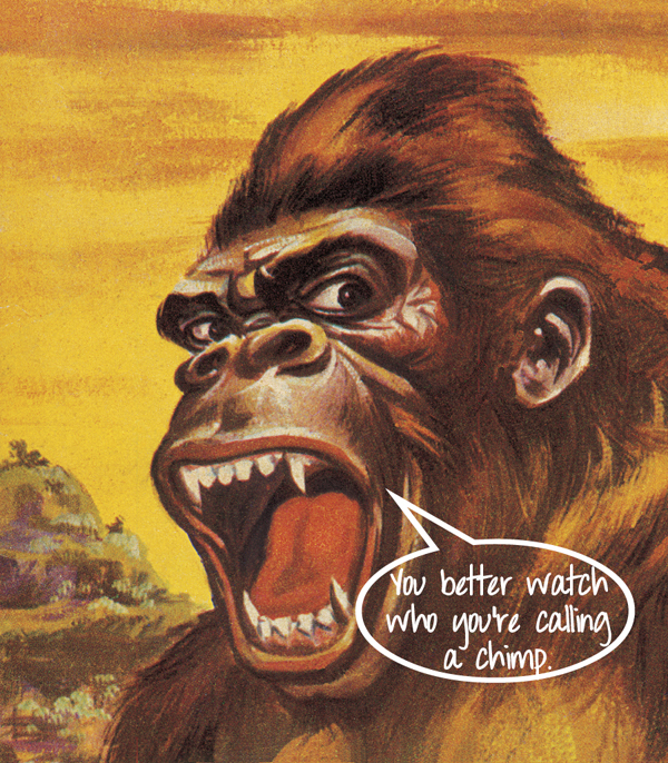 photo chimping, gorilla illustration, angry gorilla, digital photography