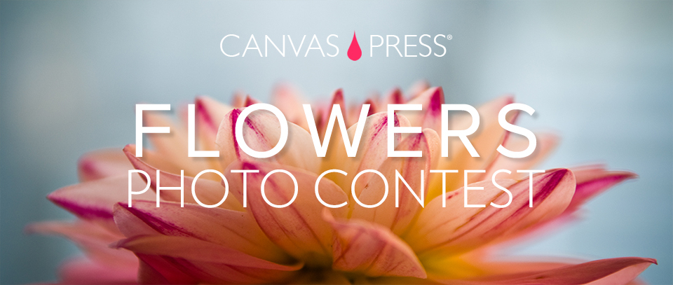 canvas press photo contest