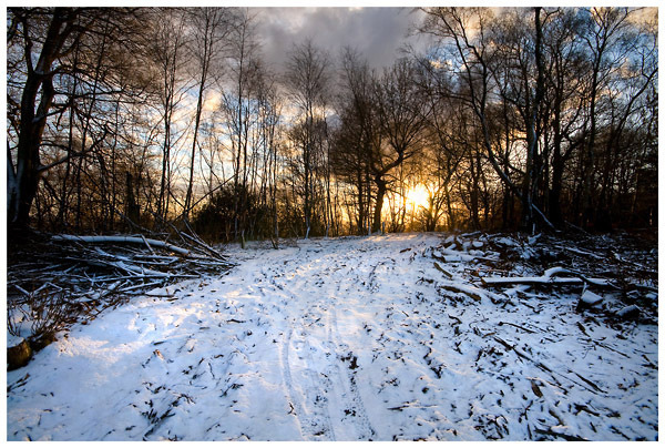 digital photography, photography how to, snow photography