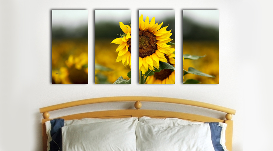 Custom Split Canvas Prints, Multi Panel Canvas